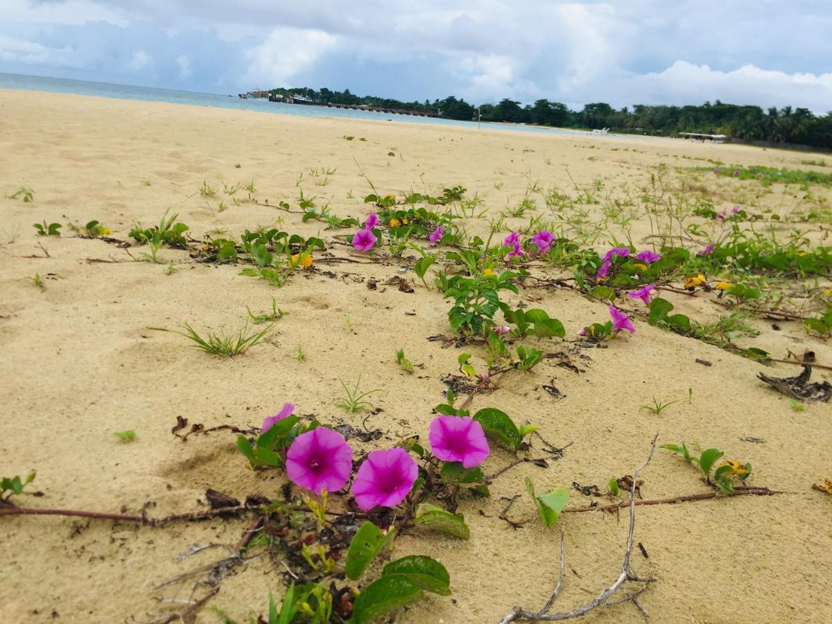 ホテルPic-Nic Beach Corn Island エクステリア 写真
